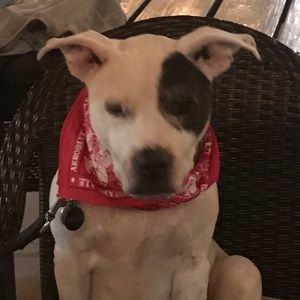 Meet your Posher, Kyle